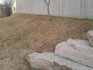 pic-landscaping-gallery-03-01